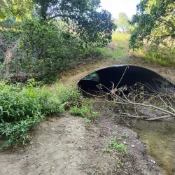Cull Canyon Regional Recreation Area - Castro Valley