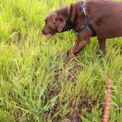 East Bay Regional Park District Trails - Castro Valley
