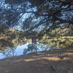 East Bay Regional Park District Trails - Castro Valley