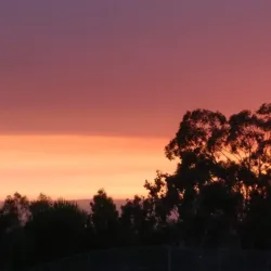 East Bay Regional Park District Trails - Castro Valley