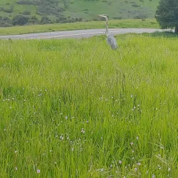 East Bay Regional Park District Trails - Castro Valley