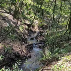 Five Canyons Open Space - Castro Valley