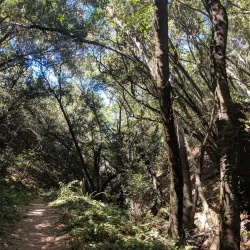 Five Canyons Open Space - Castro Valley