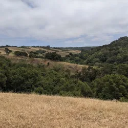 Five Canyons Open Space - Castro Valley