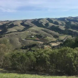 Five Canyons Open Space - Castro Valley