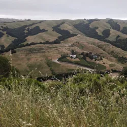 Five Canyons Open Space - Castro Valley