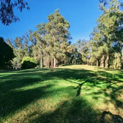 Lake Chabot Regional Park - Castro Valley