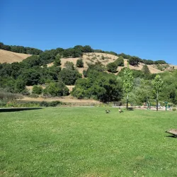 Lake Chabot Regional Park - Castro Valley
