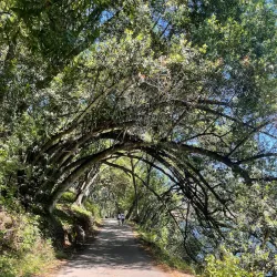 Lake Chabot Regional Park - Castro Valley
