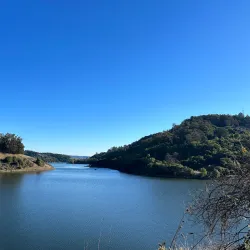Lake Chabot Regional Park - Castro Valley