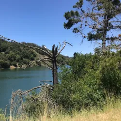 Lake Chabot Regional Park - Castro Valley