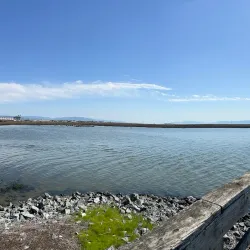 San Lorenzo Creek Trail - Castro Valley