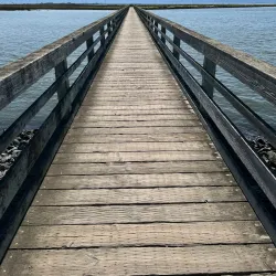 San Lorenzo Creek Trail - Castro Valley