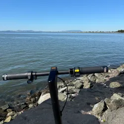 San Lorenzo Creek Trail - Castro Valley