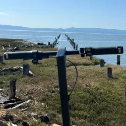 San Lorenzo Creek Trail - Castro Valley