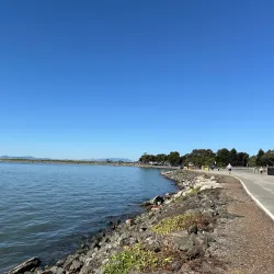 San Lorenzo Creek Trail - Castro Valley