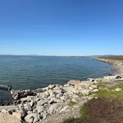 San Lorenzo Creek Trail - Castro Valley