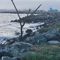 San Lorenzo Creek Trail - Castro Valley