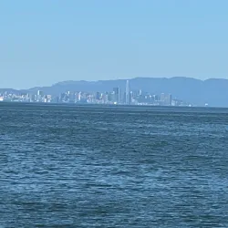 San Lorenzo Creek Trail - Castro Valley
