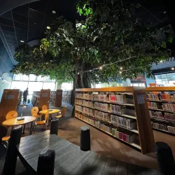 Cerritos Library - Cerritos