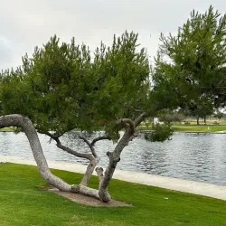 Cerritos Regional Park - Cerritos