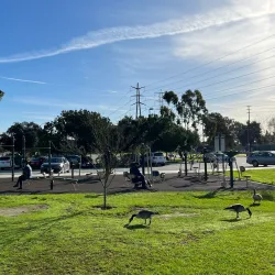 Cerritos Regional Park - Cerritos