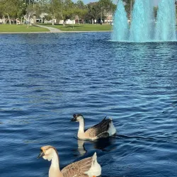 Cerritos Regional Park - Cerritos