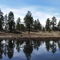 Big Springs Trailhead - Chester