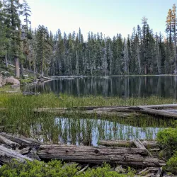 Lassen National Forest - Chester