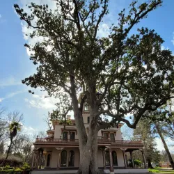 Bidwell Mansion State Historic Park - Chico