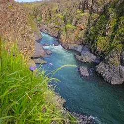 Bidwell Park - Chico