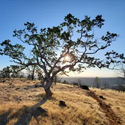 Bidwell Park - Chico