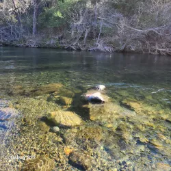 Bidwell Park - Chico