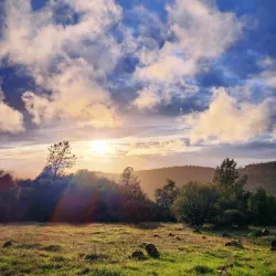 Bidwell Park - Chico