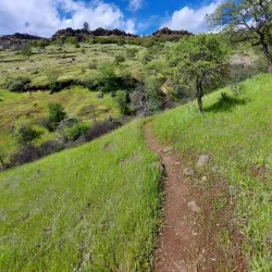 Bidwell Park - Chico