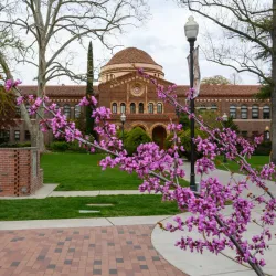 California State University, Chico - Chico