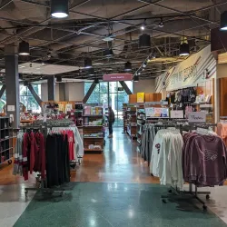 California State University, Chico - Chico