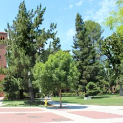 California State University, Chico - Chico