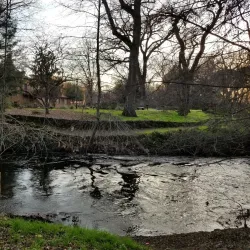 California State University, Chico - Chico