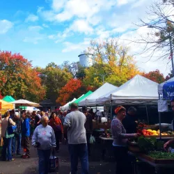 Chico Certified Farmers Market - Chico