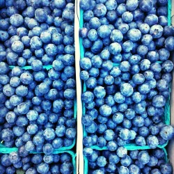 Chico Certified Farmers Market - Chico