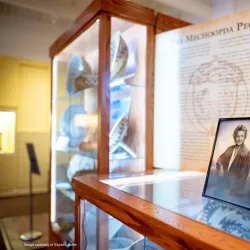 Chico Museum - Chico