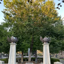 Downtown Chico - Chico