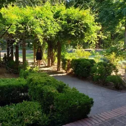 Downtown Chico - Chico