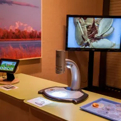 Gateway Science Museum - Chico