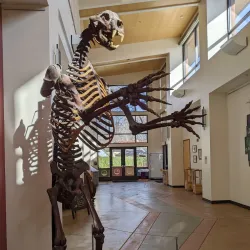 Gateway Science Museum - Chico