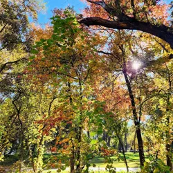 One Mile Recreation Area - Chico