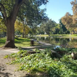 One Mile Recreation Area - Chico