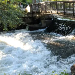 One Mile Recreation Area - Chico