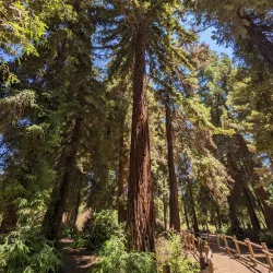 Carbon Canyon Regional Park - Chino Hills